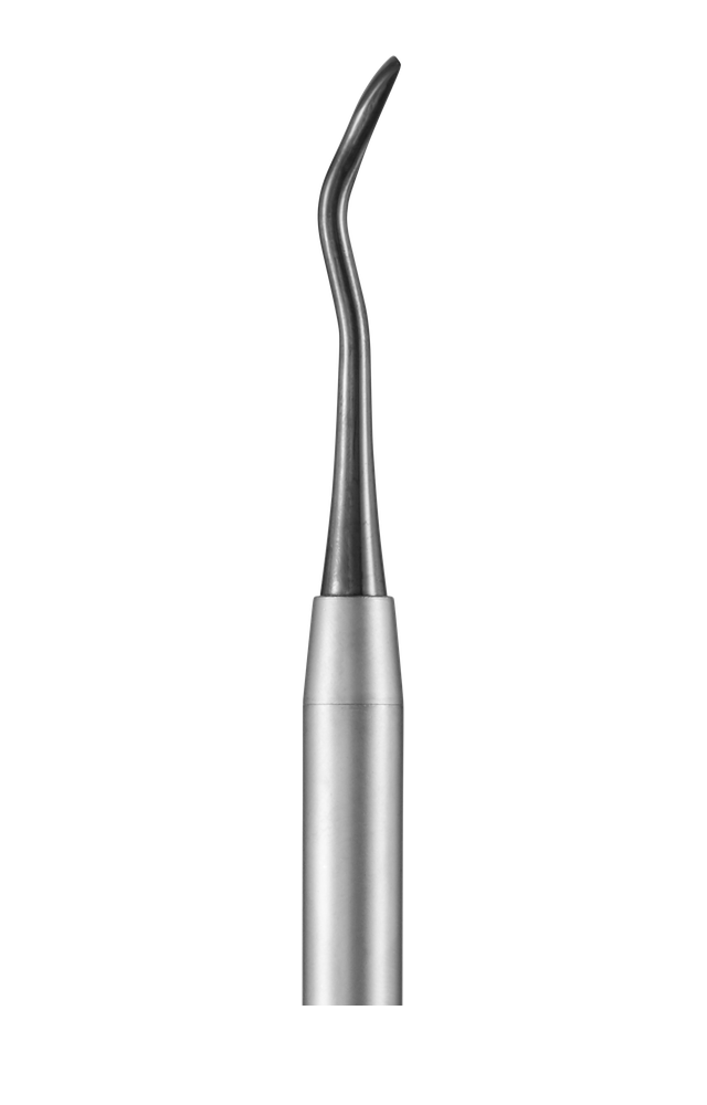 Large Distal Luxating Hybrid Elevator working end
