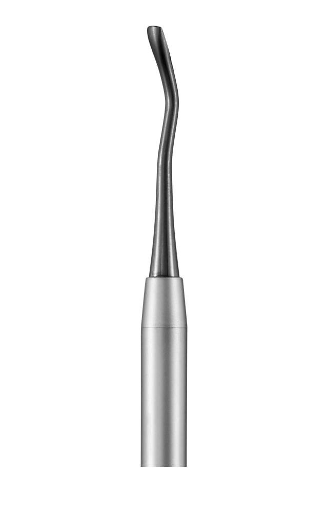 Large Mesial Luxating Hybrid Elevator working end